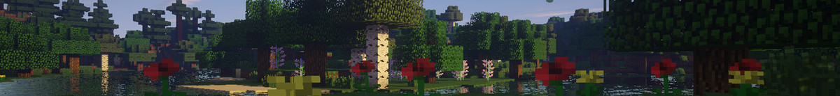 broken image